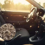夏の暑い車内をイメージした画像。布製のシートに虫眼鏡が置かれ、目に見えないダニの危険性を暗示している。